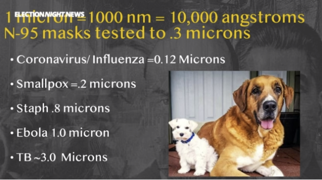 Virus sizes